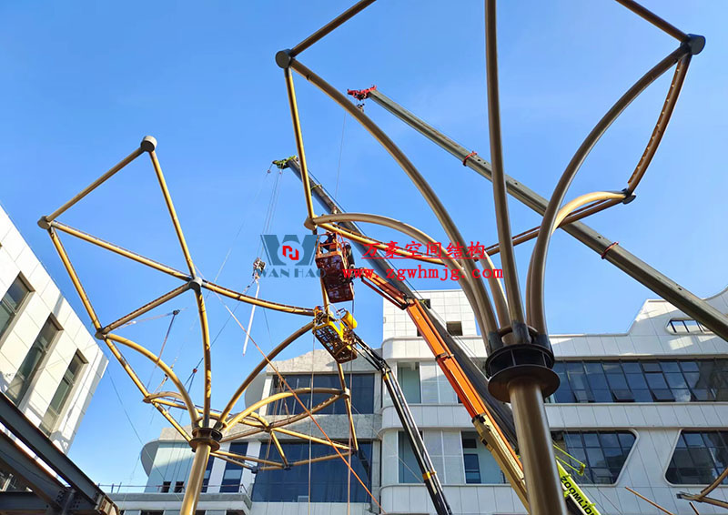 膜結(jié)構(gòu)工程吊裝 膜結(jié)構(gòu)工程吊裝