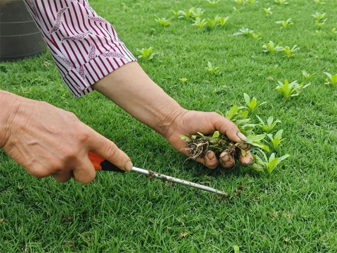 萬(wàn)豪集團(tuán)匠心助力，6月齊聚重慶龍興足球場(chǎng)為國(guó)足吶喊助威！