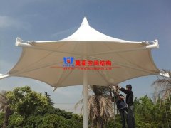 膜結(jié)構(gòu)形態(tài)有哪幾種？分別有哪些特點(diǎn)特征？